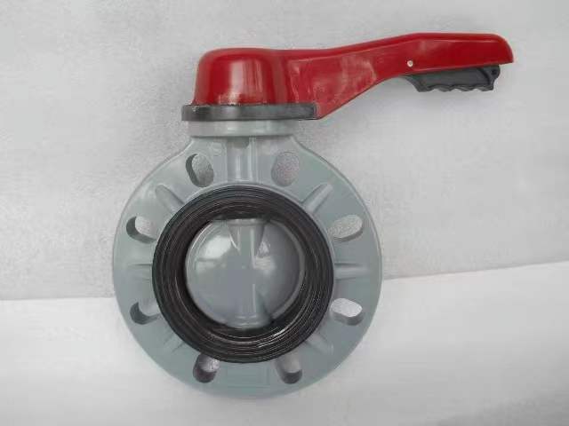 �۱�ϩ���y